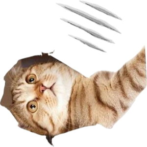  EH[XebJ[ ǎV[ EH[V[ gC Ƌ KX ^C   CeA DIY t 킢 L Aj}   gbNA[g A 