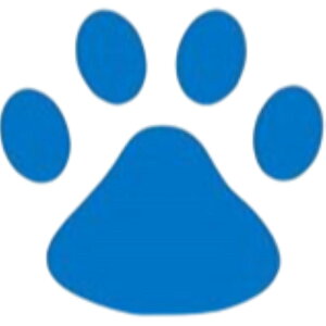  J[XebJ[ ԗpXebJ[ 4Zbg V[ LYB wR~B ՃXebJ[ XebJ[  ʔ L̑ ̑  ԑ   ԗp J[pi 