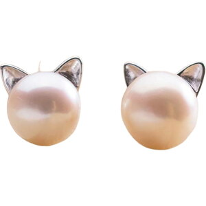  sAX X^bhsAX ANZT[ fB[X F tFCNp[ L lR  Ԃ 킢  Vv Mtg LO a v[g 蕨 t@bV