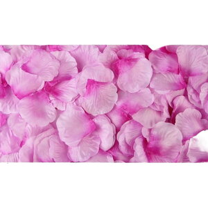  t[V[ Ԃт 1000Zbg    o A[gt[ t[y^ fR[V Ԑ  EGfBO p[eB Cxg TvCY DIY J