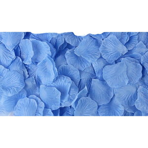  t[V[ Ԃт 1000Zbg    o A[gt[ t[y^ fR[V Ԑ  EGfBO p[eB Cxg TvCY DIY J