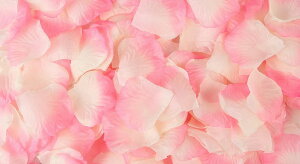  t[V[ Ԃт 1000Zbg    o A[gt[ t[y^ fR[V Ԑ  EGfBO p[eB Cxg TvCY DIY J