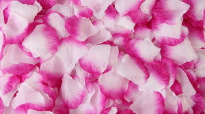  t[V[ Ԃт 1000Zbg    o A[gt[ t[y^ fR[V Ԑ  EGfBO p[eB Cxg TvCY DIY J