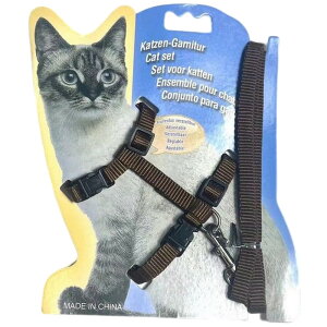  [h n[lX 2_Zbg Lp ybgObY ybgpi [V UR UObY oR n Vv PF iC  ˂ lR ʉ@ U Oo ړ