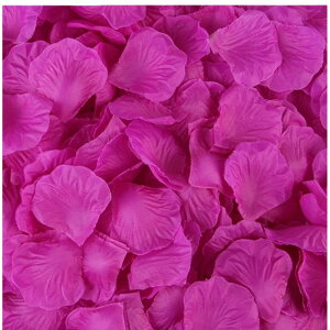  t[V[ Ԃт 1000Zbg    o A[gt[ t[y^ fR[V Ԑ  EGfBO p[eB Cxg TvCY DIY J