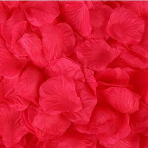  t[V[ Ԃт 1000Zbg    o A[gt[ t[y^ fR[V Ԑ  EGfBO p[eB Cxg TvCY DIY J