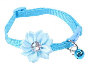    L ^ J[ `[J[ RT[Wt ybgJ[  t[`[t  ybgObY hbO Lbg PF rrbhJ[   pi Lpi