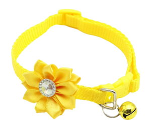    L ^ J[ `[J[ RT[Wt ybgJ[  t[`[t  ybgObY hbO Lbg PF rrbhJ[   pi Lpi