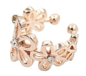  C[Jt fB[X ANZT[ t[`[t Vo[J[ S[hJ[ 킢  |Cg