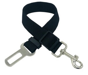  ybgpV[gxg ԗpxg p Lp Ԑp[h hCu ł ȒP яoh~ Vv JoLx ybgpi ybgObY  Ck ˂ lR