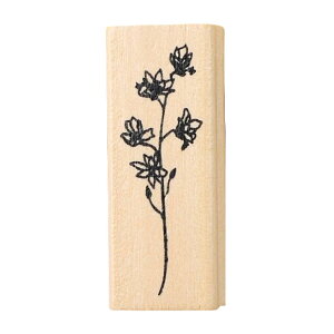  fUCX^v nR q G [ ` ؖ͗l {^jJ  t[ [t x_[ N [J 킢 L[g 