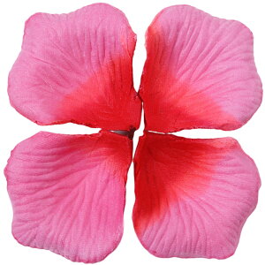  t[V[ Ԃт 100Zbg    o A[gt[ t[y^ fR[V Ԑ  EGfBO p[eB Cxg TvCY DIY J