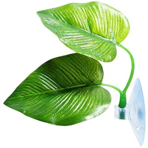  lH CAEg lHvc ANAEfR[V zՎ x^xbh xeꏊ B t [t pCeA IuWF pi