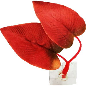  lH CAEg lHvc ANAEfR[V zՎ x^xbh xeꏊ B t [t pCeA IuWF pi