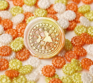  V[ObNX X V[OX^vpi 100Zbg   t[ Ђ܂ Jt  ҏ 莆