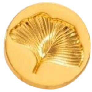  V[OX^v wbh fUCX^v X^v X  tւ t[ KN o Vg   킢  莆 O[eBOJ[h