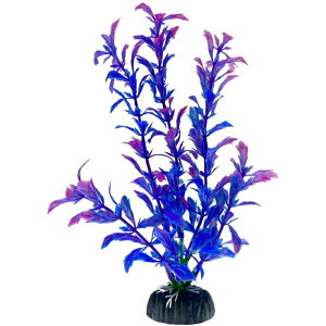  lH lHvc 20cm t pCAEg ANAEpi   CeA ANZT[ C~e[V 