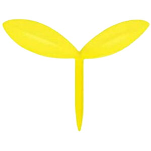  ubN}[J  VR t [t V A 킢 RpNg { ItBX Ǐ 蒠