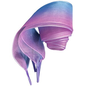  CR CЂ 2{Zbg 1 [X { Of[V fB[X  ̎q tւ  V[[X   Xj[J[ V[Y