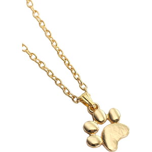  lbNX fB[X Y  j jp jZbNX ANZT[ L ˂ lR  Ck   S[hJ[ Vo[J[   j[N