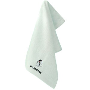  tFCX^I 25×45cm J[^I |CghJ hJ 킢  fC[ Mtg 蕨 v[g