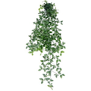  tFCNO[ lHϗtA    ݂艺 [t t   CeA Aؔ ͂Ȃ A  O rO  gC ʏ Q  