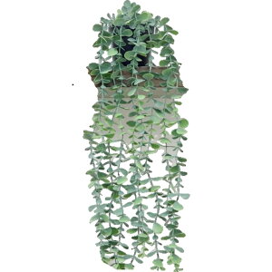  tFCNO[ lHϗtA    ݂艺 [t t   CeA Aؔ ͂Ȃ A  O rO  gC ʏ Q  