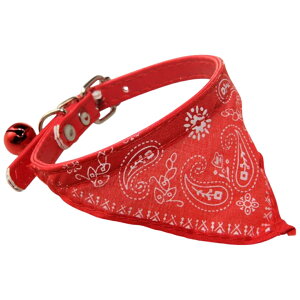  Lp ybgpi ˂ lR J[ o_i xg^Cv t yCY[ U o|  킢 bh u[ sN ubN   