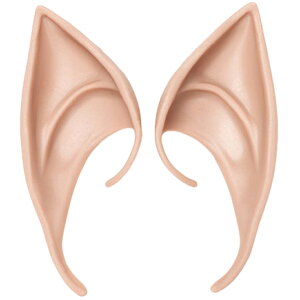  Gt̎ t RXv nEB  p[eB Cxg d tFA[   Ƃ񂪂莨 Cxg Be