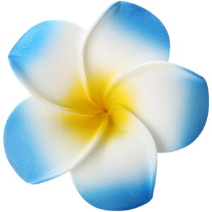  wANbv F2Zbg fB[X wAANZT[ t[  vA nCA 썑   wAAW  킢 ][g r[` t_