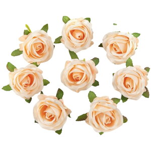   KN ΂ o 4Zbg tFCNt[ Ԃ̂ sȂ Ntg nhCh DIY |   ANZT[ RT[W  p[eB[ JoLx