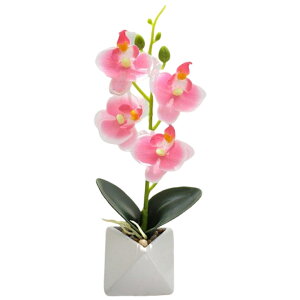   Ӓ R`E   A ~j|bg ~jA C~e[V tFCNt[  rO CeA IV Y ̓