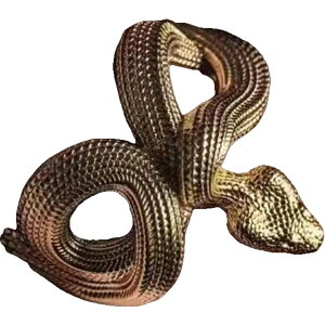  w I[vO t@bVO Y j ANZT[ Xl[N  ւ wr AeB[N GL]`bN A   t[TCY t@bV