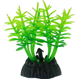  lH 3Zbg lHvc pCAEg yt  ANAEfR[V CeA ANZT[ IuWF I[ig pi CAEgpi 