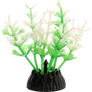  lH 3Zbg lHvc pCAEg yt  ANAEfR[V CeA ANZT[ IuWF I[ig pi CAEgpi 