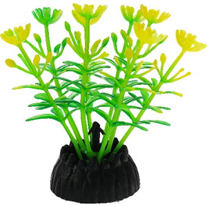  lH 3Zbg lHvc pCAEg yt  ANAEfR[V CeA ANZT[ IuWF I[ig pi CAEgpi 