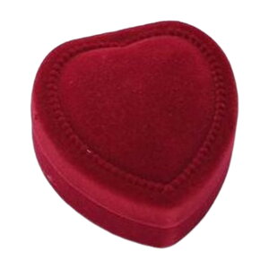  Mtg{bNX Pi MtgP[X WG[{bNX v[g{bNX O w 蕨 v[g P[X  ꕨ