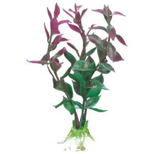  lH lHvc lHA vX`bN 10cm pA ANAE CAEg IuWF  I[ig ybgpi Mы ӏ܋