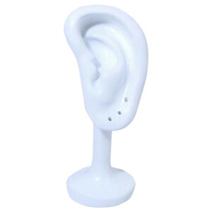  ANZT[X^h fBXvC sAX CO C[Jt ^ `[t C[`[t W [ nhCh DIY Vbv X X t} ʐ^Be CeA