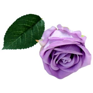   tFCNt[ Pi 1{ o t[AWg A[eBtBVt[ A[gtA[ ԏ  CeAG tHg ʐ^Be ̓ v[g Mt