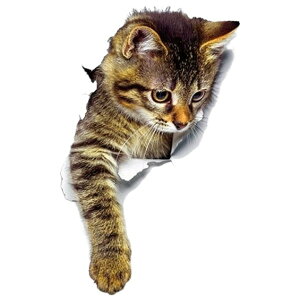  EH[XebJ[ ǃXebJ[ ǎV[ V[ V[ L Lbg qL 3D gbNA[g ܂G CeAG DIY ͗l