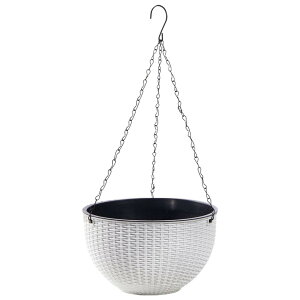  nMOv^[ ݂艺 Aؔ vg|bg 16.5cm 21cm t[|bg K[fjO ~` `F[݂蔫 |pi zCg O[ sN uE