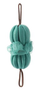  {fBX|W {fB^I oXX|W Aălbg oXpi g̐ ̐ w ZA Rt  C Cpi oOObY {fBPA