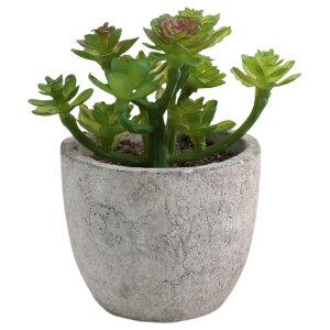  tFCNO[ lHϗtA A A ~j ^   sv C~e[V CeA p 