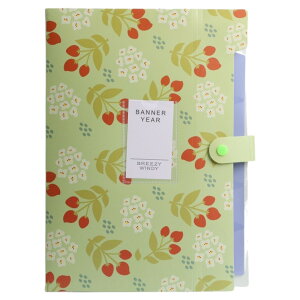  t@CP[X hLgt@C 6|Pbg 8|Pbg A4 AR[fBI ֕  t@Cz_[ ΂玮  ^ e wZ pi  