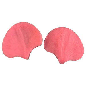  VR[h VR^ ʐ^ Ԃт t t[ [t nhCh W Ό  Sy | ANZT[p[c