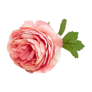    1{ sIj[ 䉖 VNN O {^ ԍ tFCNt[ lHϗtA CeA ԏ ͂Ȃ