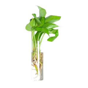  Ǌ|ԕr ԕr KX ݂艺 Ǌ| Aؔ ~` Ԍ` Op` t[x[X ֑} k͔| I  CeA 