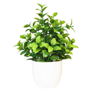  lHϗtA tFCNO[  Aؔ  ͂Ȃ A |bgt A u u  Mtg v[g 蕨 CeA