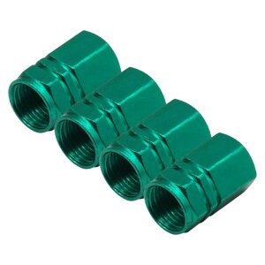  GAouLbv ^CouLbv 4Zbg GA[ou ԗpi J[pi ouJo[ LbvJo[ Op[c ubN  JX^ AW  